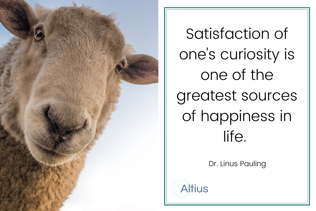 pauling quote about curiosity, altius consulting